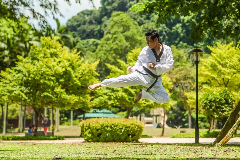 Wu Style Chinese Martial Arts